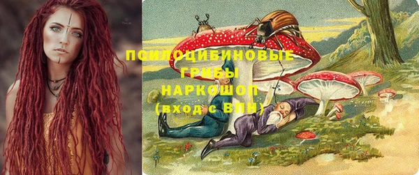 шишки Заволжье