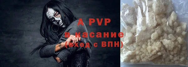 шишки Заволжье