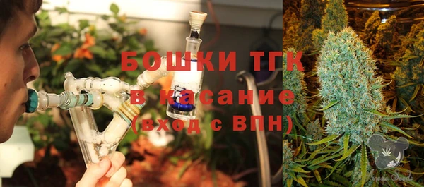 шишки Заволжье